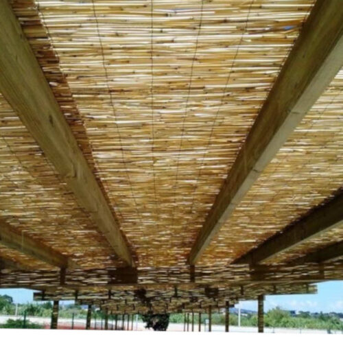 Mattioli Legnami Viterbo copertura cannucciato